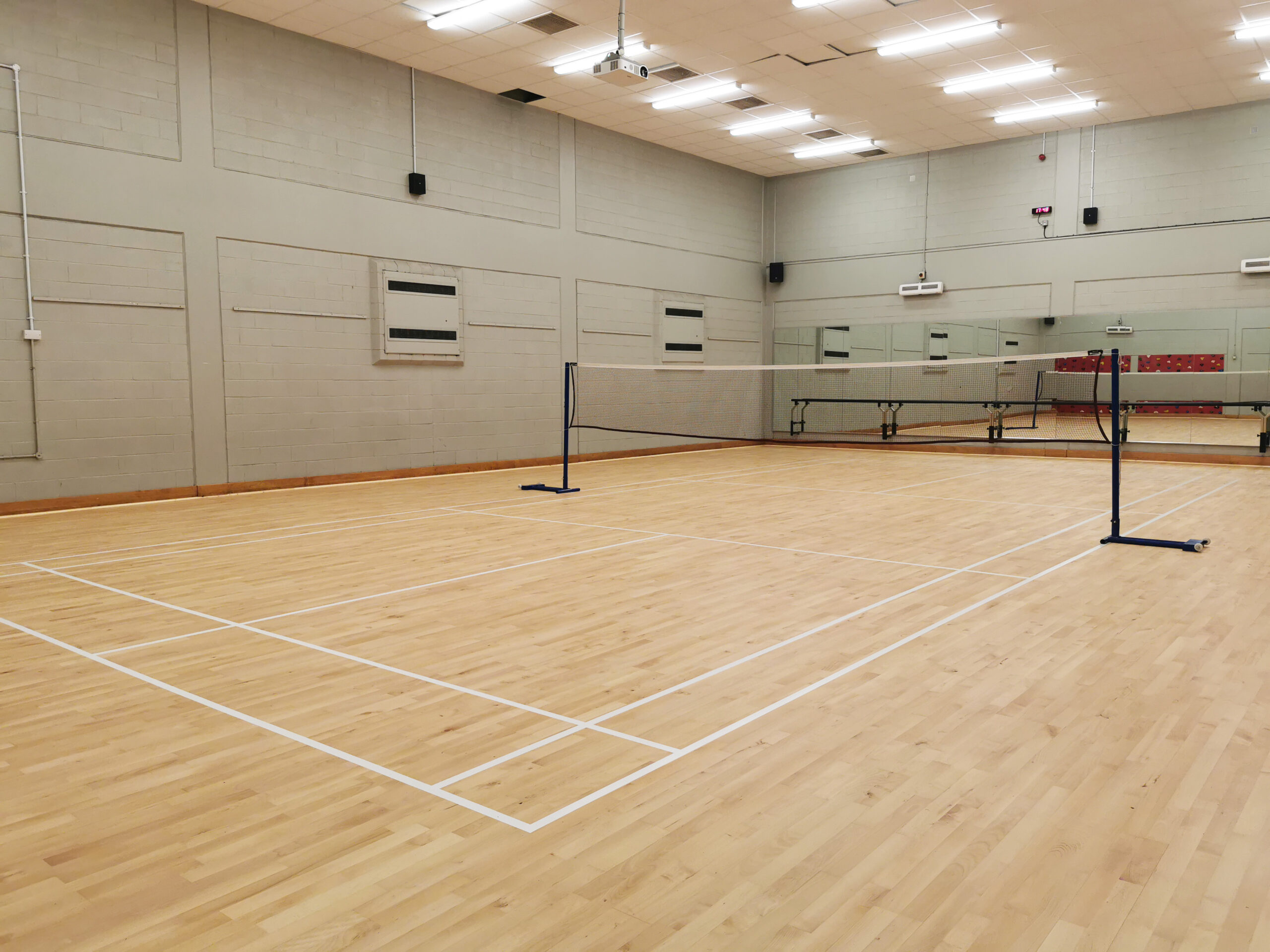 Gymnasium at George Greens School